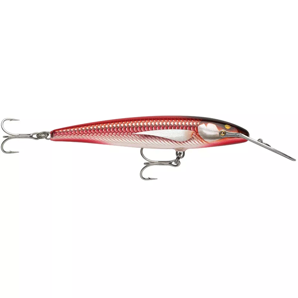 Rapala CountDown Magnum Elite 145 - 5-3/4" - Armored Real Red Bait [CDMAGE145AMRRB]